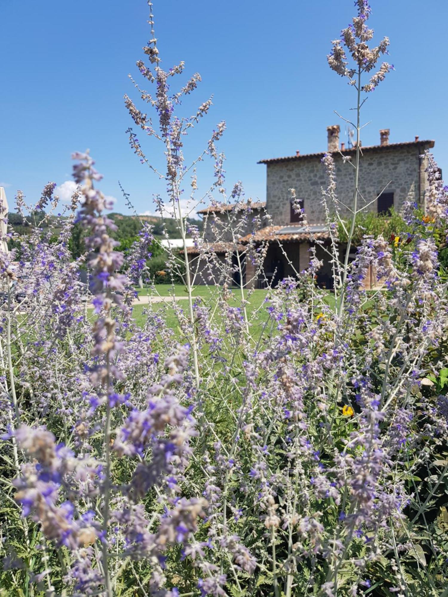 Agriturismo Villa Al Piano Todi Exterior foto